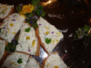 20090418-172312-2009-04-18 Maigang Rohlofs Hof zu Preens Hoff Wulf 385