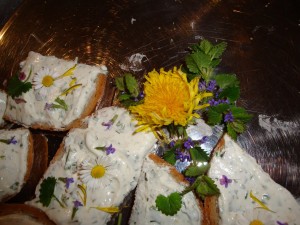 20090418-172320-2009-04-18 Maigang Rohlofs Hof zu Preens Hoff Wulf 386