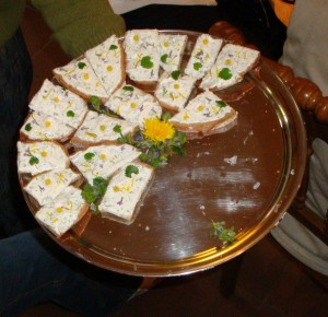 20090418-223340-2009-04-18 Maigang Rohlofs Hof zu Preens Hoff Wulf 384