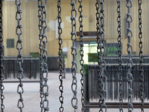 20160430-154250-Maigang-Nachbarschaft-50026   