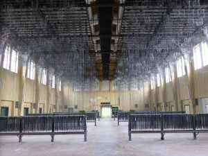 20160430-154308-Maigang-Nachbarschaft-50027   